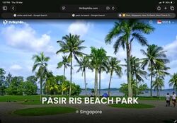 Blk 476 Pasir Ris Drive 6 (Pasir Ris), HDB 4 Rooms #536954101